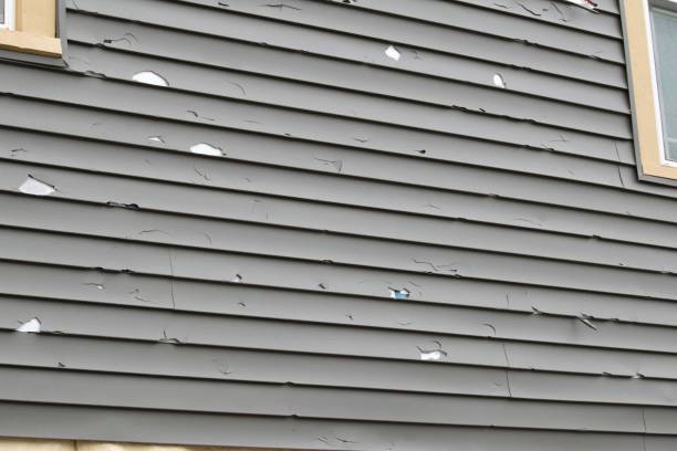 Best Dumpster Rental Services  in Palmyra, IN